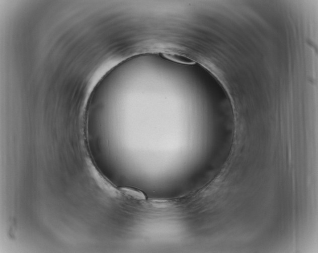 X0000102871152200808251235