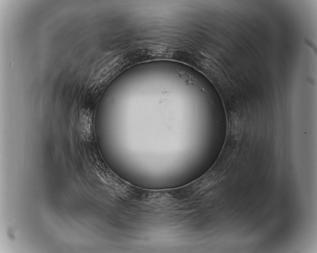 X0000102871154200808251234