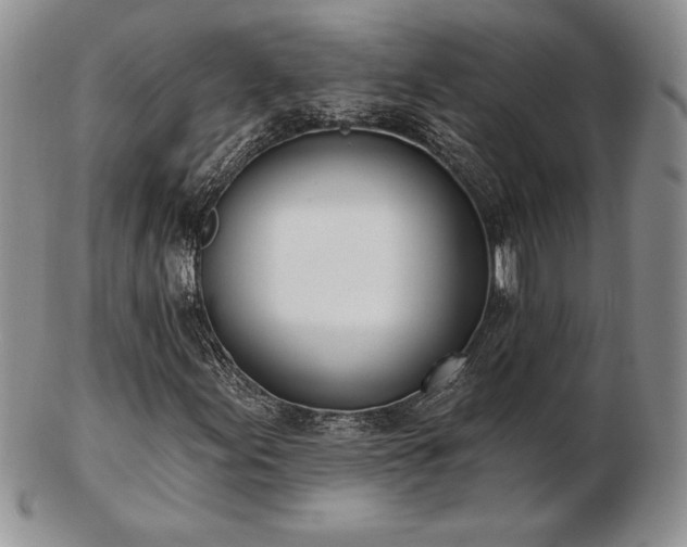 X0000102871155200808251234