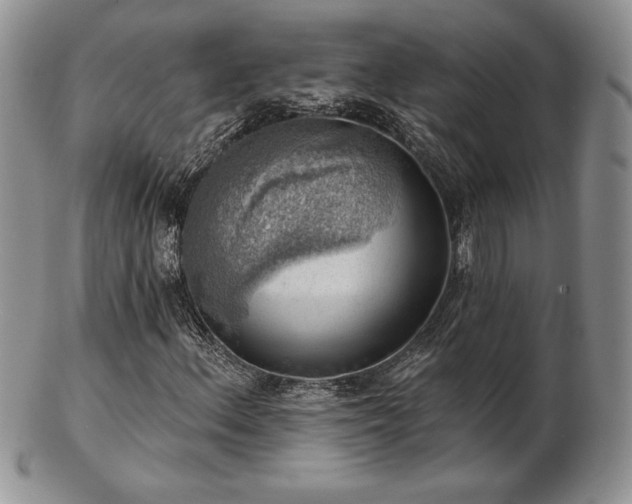X0000102871156200808251234