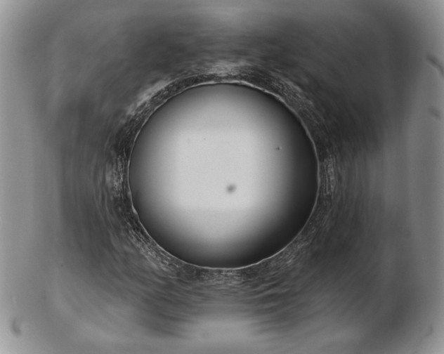 X0000102871158200808251234