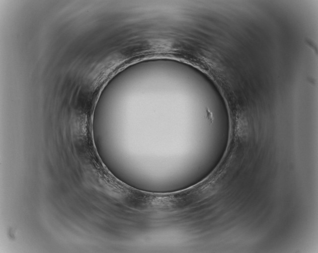 X0000102871161200808251234