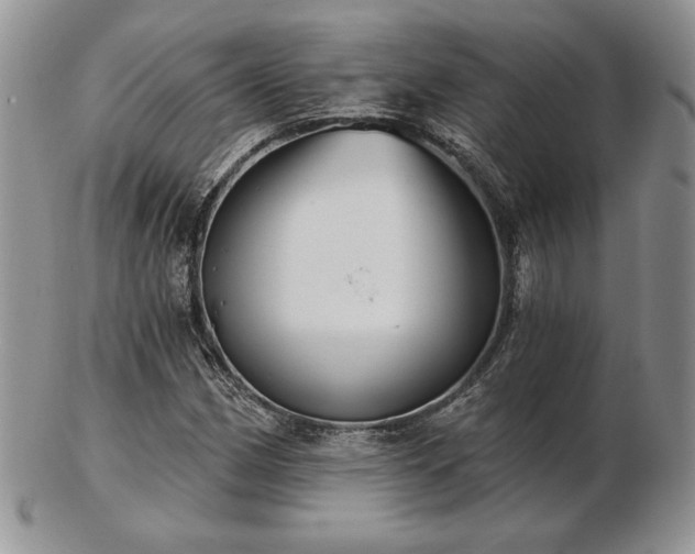 X0000102871162200808251234