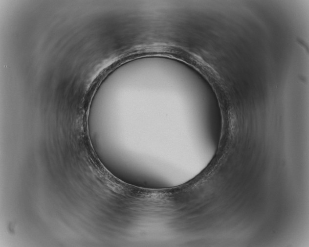 X0000102871166200808251234