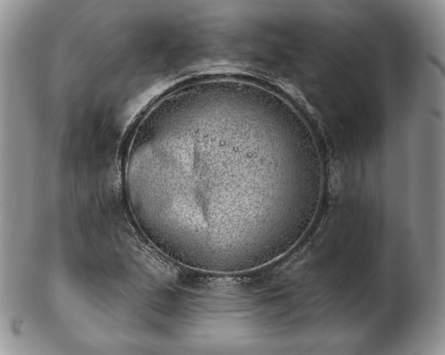 X0000102871167200808251234