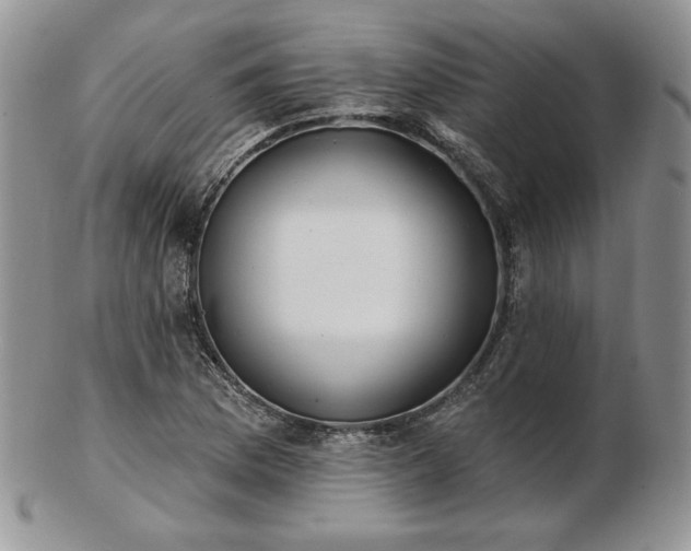 X0000102871169200808251234