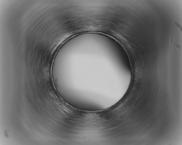 X0000102871170200808251234