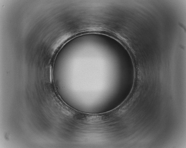 X0000102871171200808251234