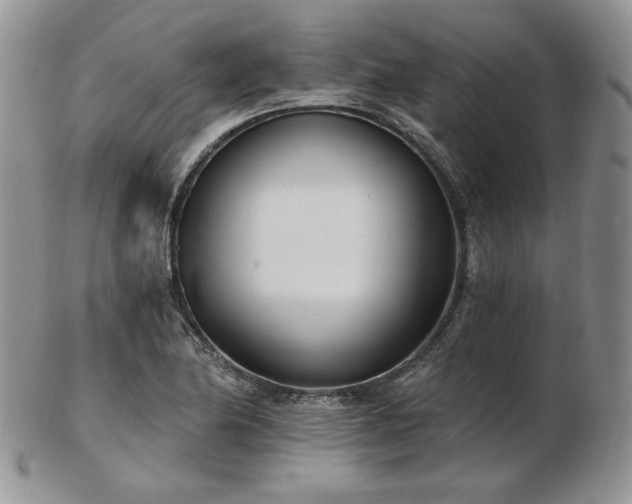 X0000102871174200808251234
