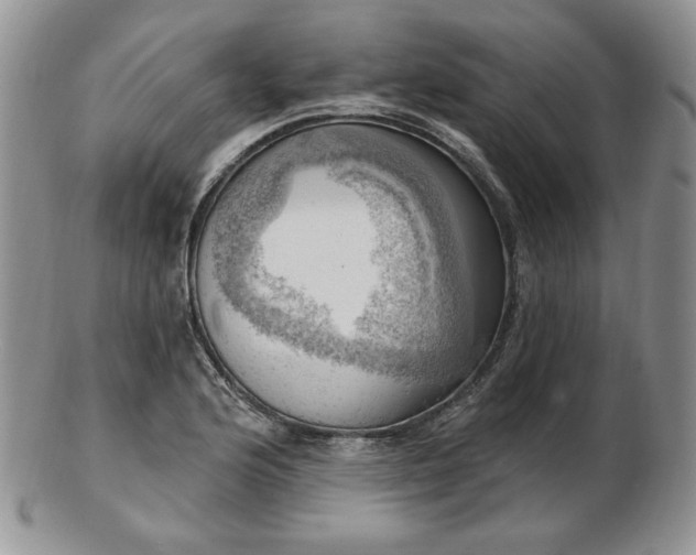 X0000102871176200808251234