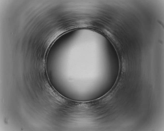 X0000102871178200808251234