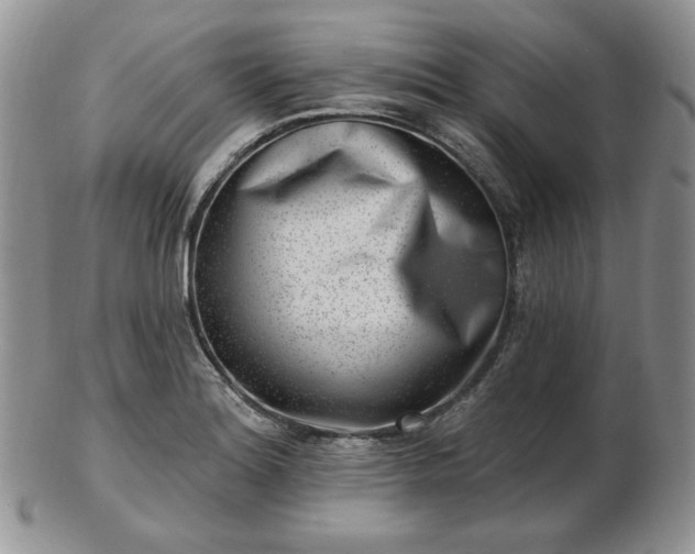 X0000102871180200808251234