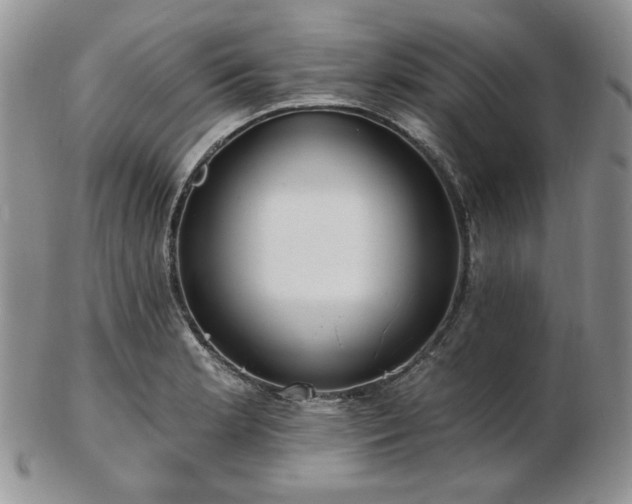 X0000102871181200808251234