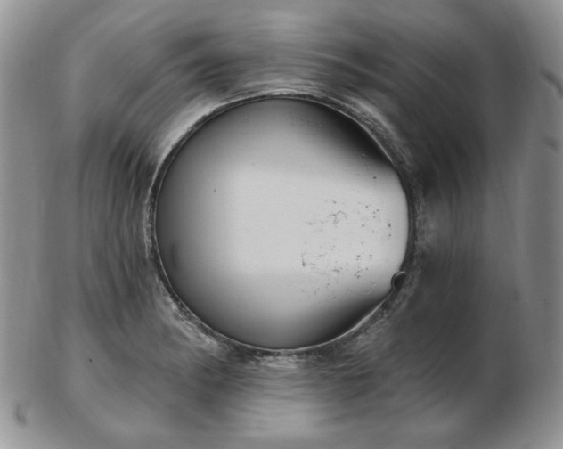 X0000102871182200808251234
