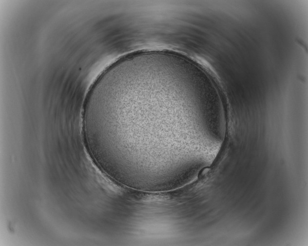X0000102871183200808251234