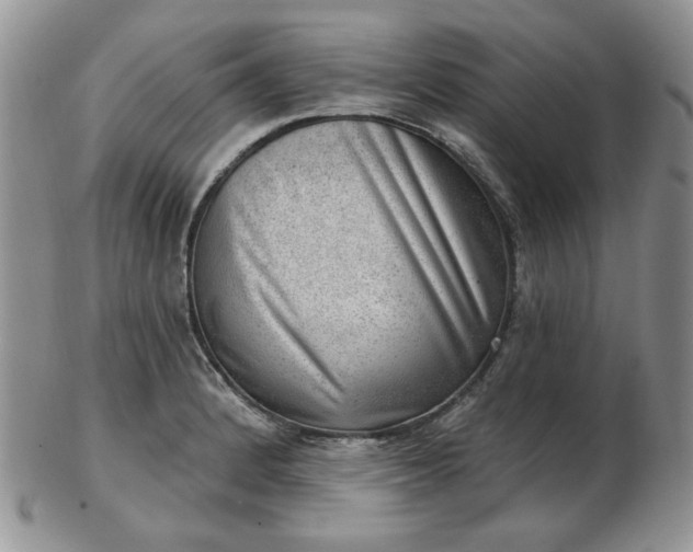 X0000102871184200808251234
