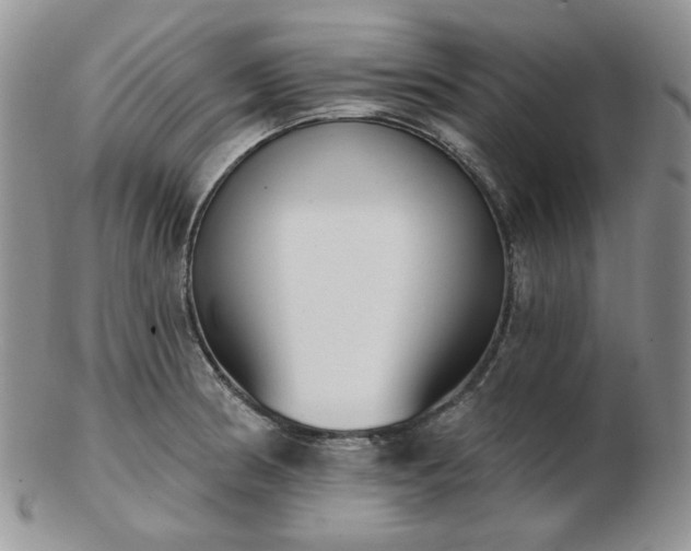 X0000102871186200808251234