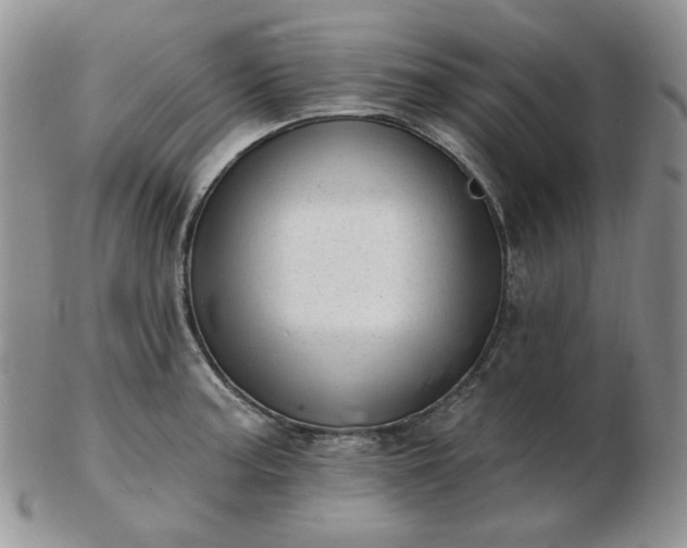 X0000102871187200808251234