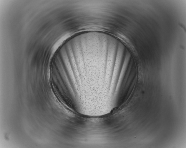 X0000102871188200808251234