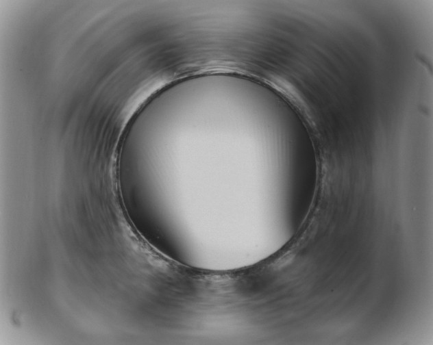 X0000102871190200808251234