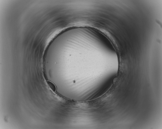 X0000102871191200808251234