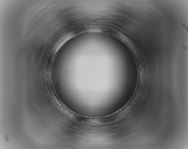 X0000102871194200808251234