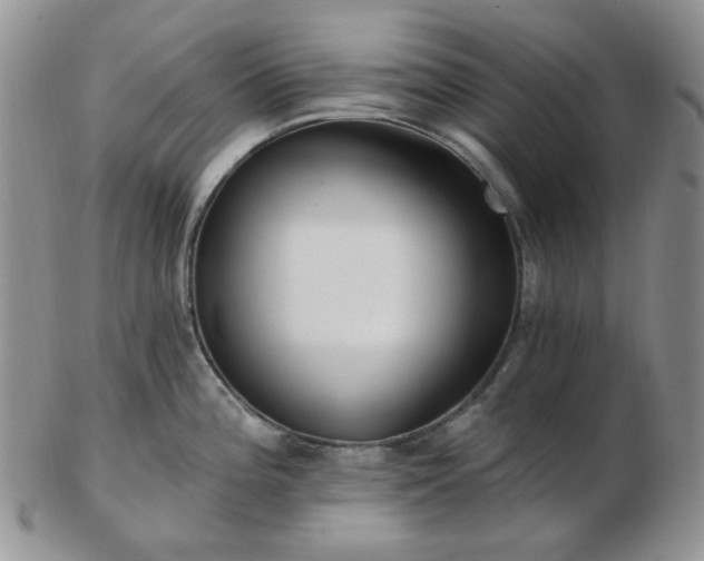 X0000102871196200808251234
