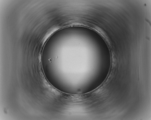 X0000102871198200808251234