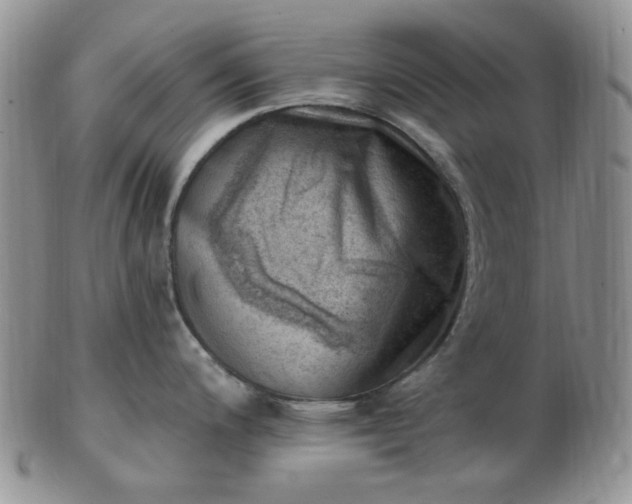 X0000102871200200808251234