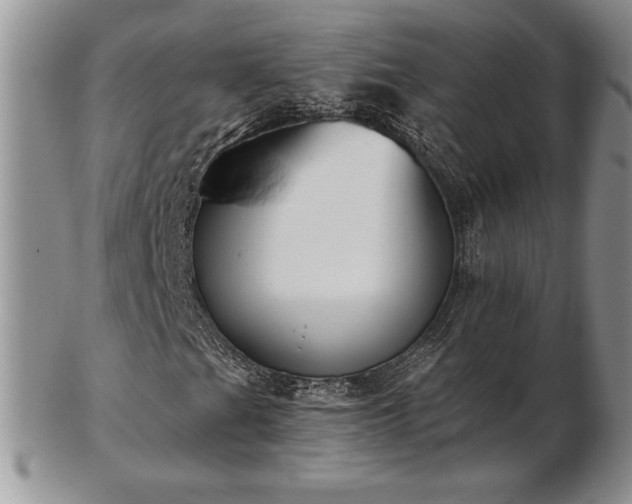 X0000102871201200808251233