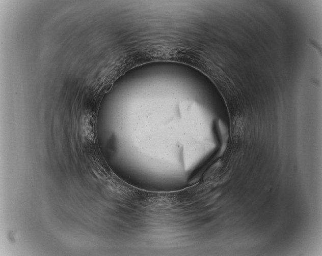 X0000102871202200808251233
