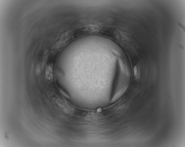 X0000102871203200808251233
