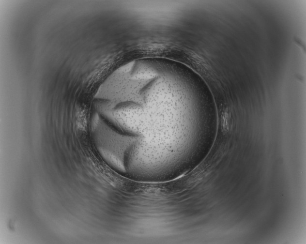 X0000102871204200808251233