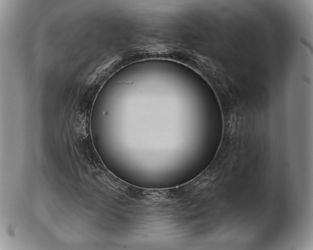 X0000102871205200808251233
