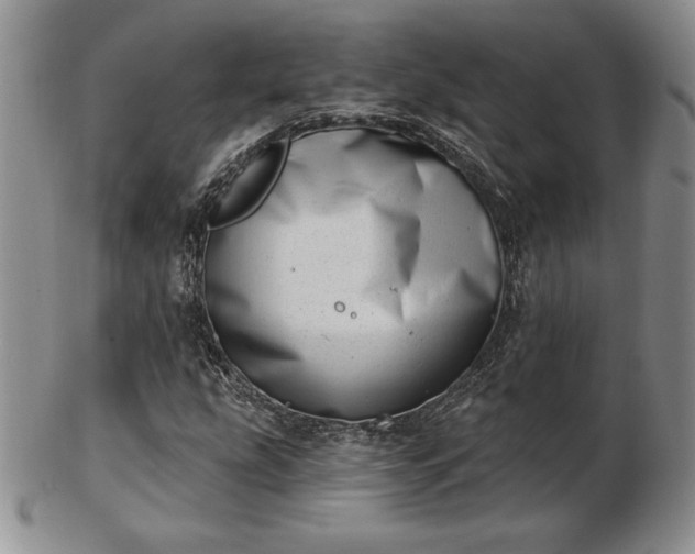 X0000102871207200808251233