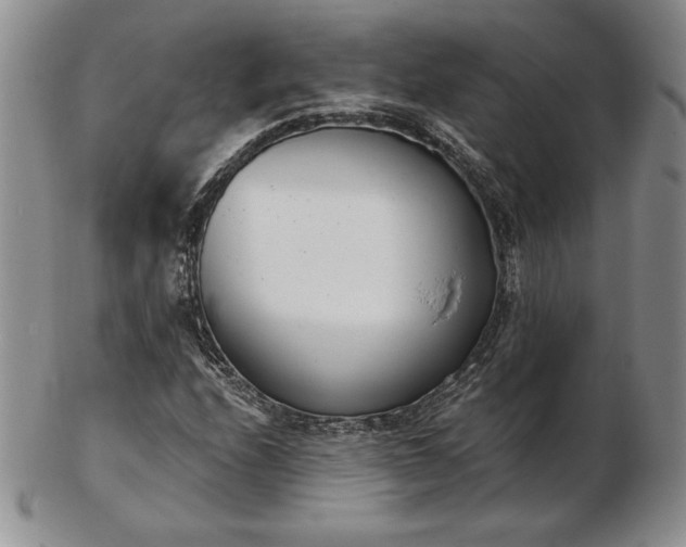 X0000102871208200808251233