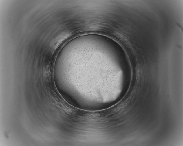 X0000102871210200808251233