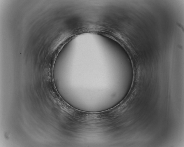 X0000102871211200808251233