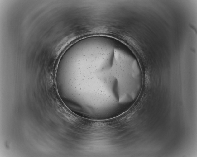 X0000102871212200808251233