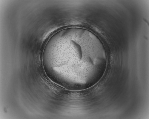 X0000102871214200808251233