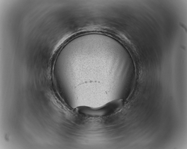 X0000102871216200808251233