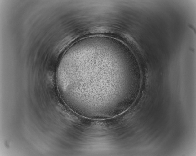 X0000102871217200808251233