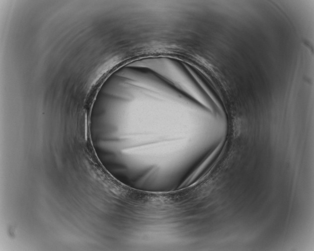 X0000102871219200808251233