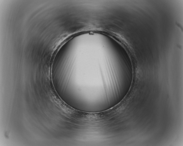 X0000102871220200808251233