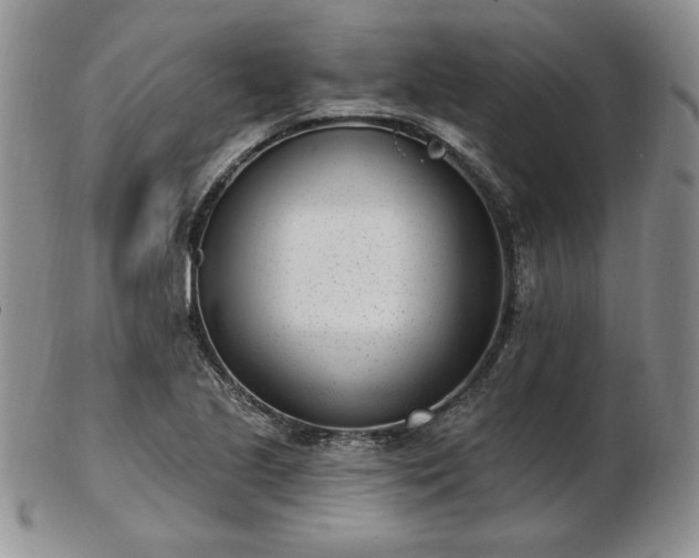 X0000102871221200808251233