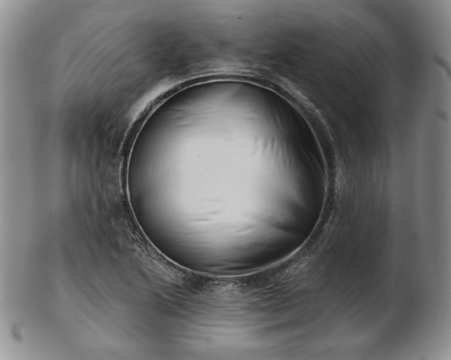 X0000102871222200808251233