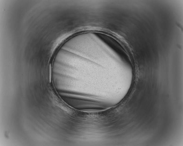 X0000102871223200808251233