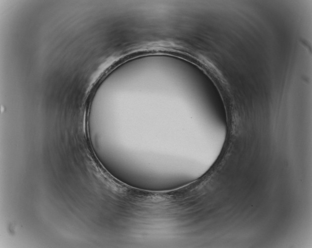 X0000102871224200808251233