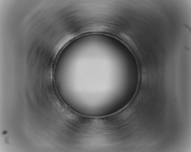 X0000102871226200808251233