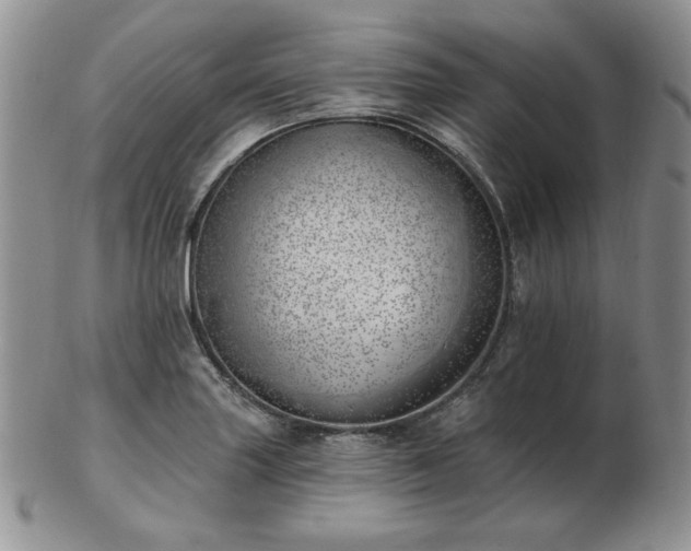 X0000102871227200808251233